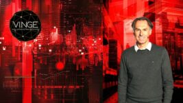 VingeGPT - Artificial Intelligence for Value Investors