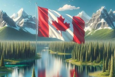 Canadian Privacy Law(fit for CIPP/C)