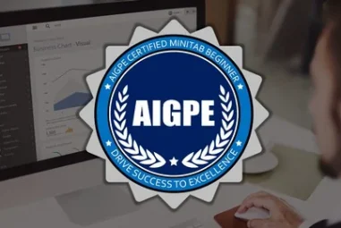 Certified Minitab Beginner: Graphical Tools (Accredited)