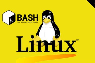 Linux Administration: The Complete Linux Bootcamp in 2025