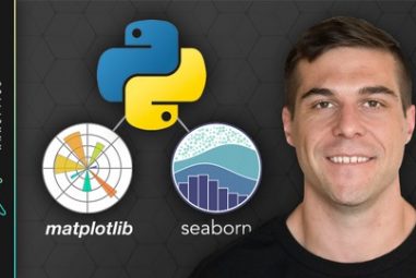 Python Data Visualization: Matplotlib & Seaborn Masterclass