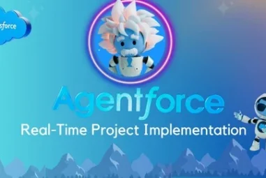 Salesforce Agentforce Real-Time Project Implementation
