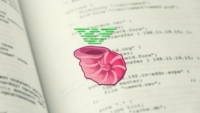Shell Scripting Linux: Discover How to Automate Command Line Tasks