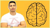 Learn Social Engineering From Scratch Course Online